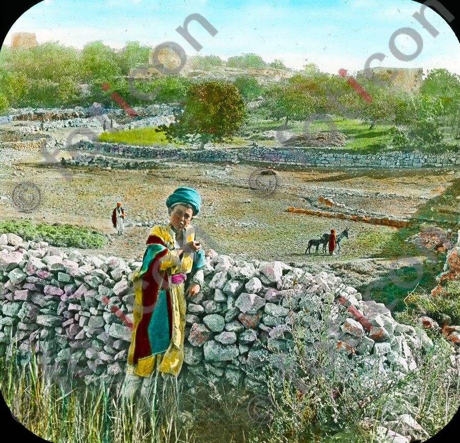 Hirten in Palästina | Shepherds in Palestine (foticon-simon-054-050.jpg)